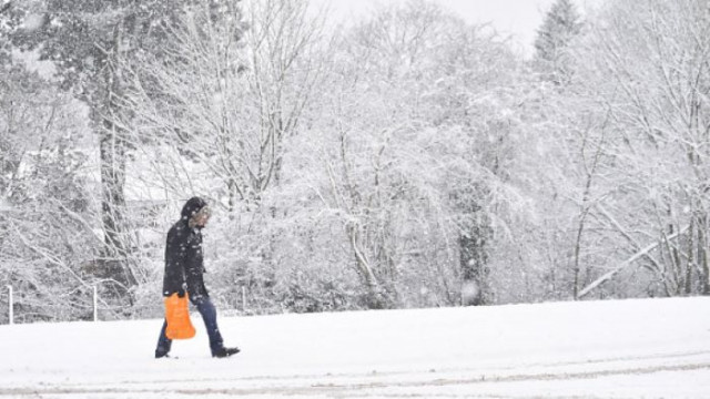 Синоптик: Първият сняг у нас пада до часове